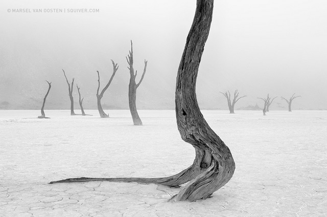 ภาพถ่ายขาวดำ สวยๆ ภาพถ่ายขาวดำ สวยๆ