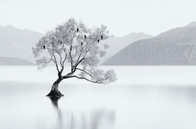 ภาพถ่ายขาวดำ สวยๆ ภาพถ่ายขาวดำ สวยๆ