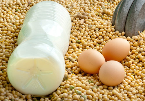 วิธีลดพุง ผู้ชาย วิธีลดพุง ผู้ชาย