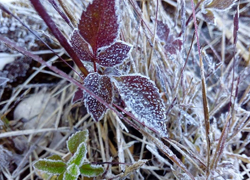 ปรากฏการณ์เหมายขาบ