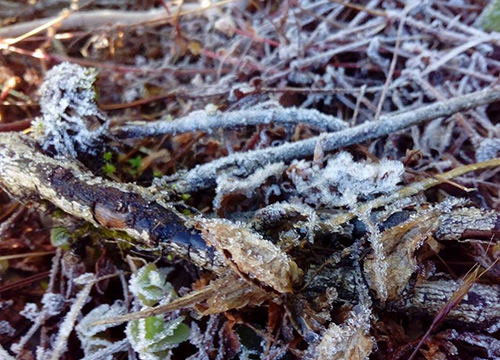 ปรากฏการณ์เหมายขาบ