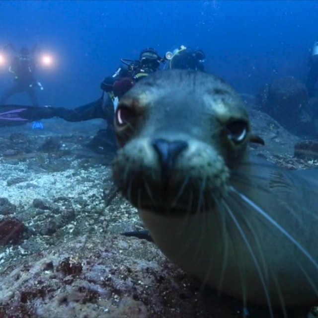 ภูริ แอน อลิชา