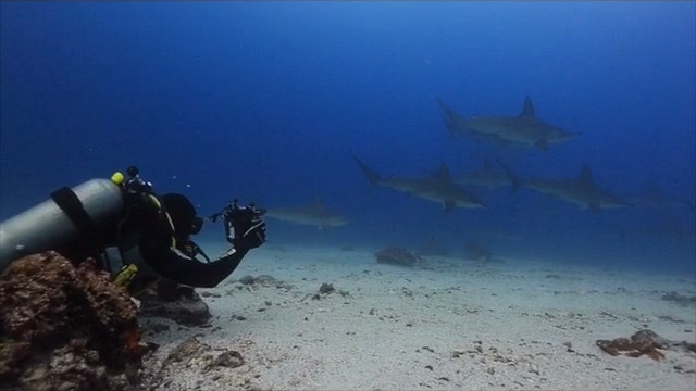 ภูริ แอน อลิชา