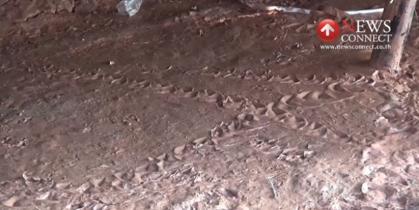 รอยพญานาค รอยพญานาค