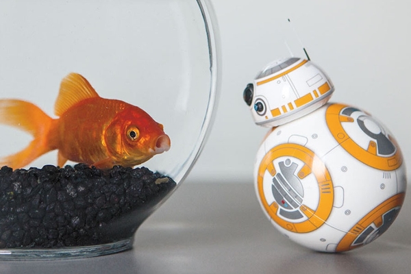 BB-8 ของเล่นสุดล้ำ หุ่นยนต์กลิ้งได้จาก Star Wars BB-8 ของเล่นสุดล้ำ หุ่นยนต์กลิ้งได้จาก Star Wars