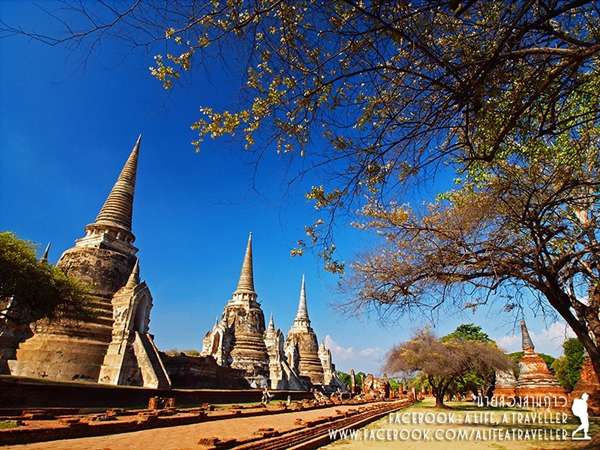 รีวิว เที่ยวใกล้กรุงเทพ รีวิว เที่ยวใกล้กรุงเทพ