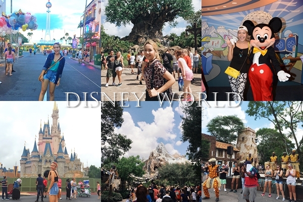 แชร์ประสบการณ์ work&travel แชร์ประสบการณ์ work&travel
