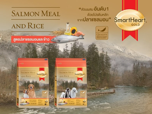 SmartHeart GOLD Salmon Meal&Rice SmartHeart GOLD Salmon Meal&Rice