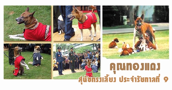 คุณทองแดง คุณทองแดง