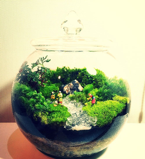 วิธีจัดสวนขวดแก้ว วิธีจัดสวนขวดแก้ว