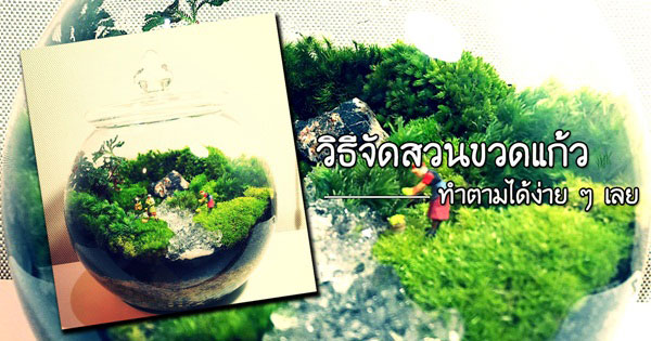 วิธีจัดสวนขวดแก้ว วิธีจัดสวนขวดแก้ว