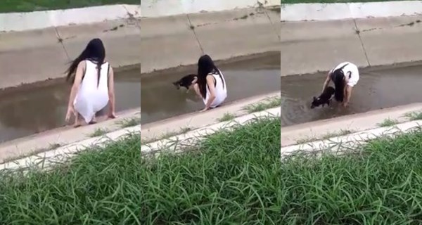 สาวใจงาม ลงคลองช่วยหมาขาเสียที่พลัดตกลงไป สาวใจงาม ลงคลองช่วยหมาขาเสียที่พลัดตกลงไป