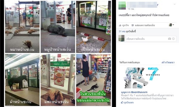 ม้าสีดำยืนตากแอร์หน้าเซเว่น ม้าสีดำยืนตากแอร์หน้าเซเว่น