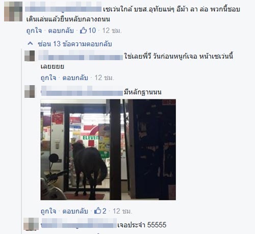 ม้าสีดำยืนตากแอร์หน้าเซเว่น ม้าสีดำยืนตากแอร์หน้าเซเว่น