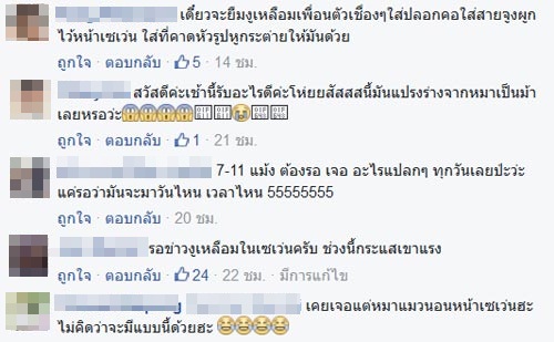 ม้าสีดำยืนตากแอร์หน้าเซเว่น ม้าสีดำยืนตากแอร์หน้าเซเว่น