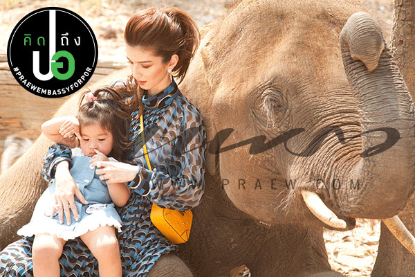โบว์ แวนด้า - น้องมะลิ โบว์ แวนด้า - น้องมะลิ