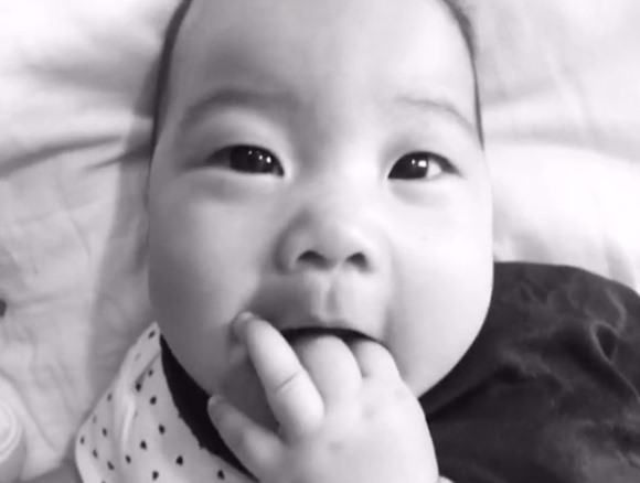 น้องเป่าเปา น้องเป่าเปา