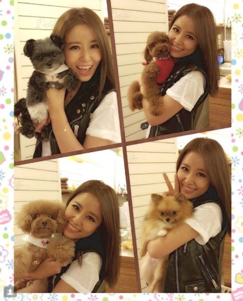 องค์หญิงกำมะลอ รียูเนี่ยน องค์หญิงกำมะลอ รียูเนี่ยน