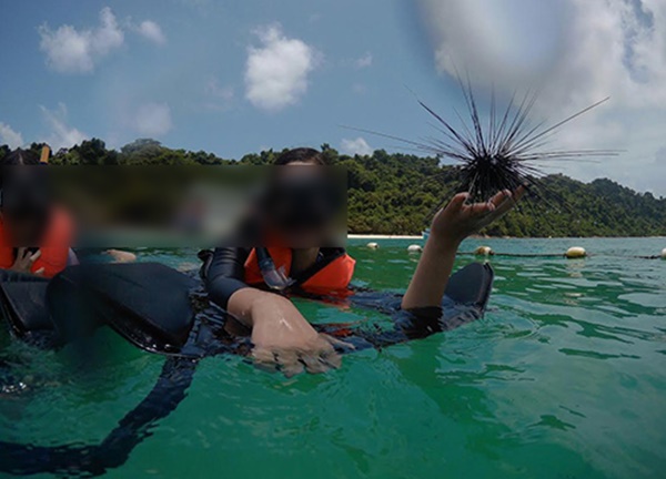 นักท่องเที่ยวจับหอยมือเสือถ่ายรูปอวด นักท่องเที่ยวจับหอยมือเสือถ่ายรูปอวด