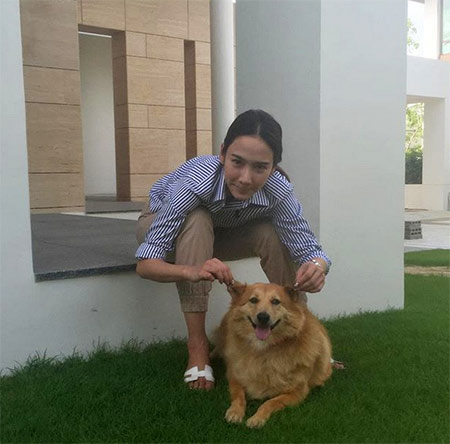 ชุดอยู่บ้านดารา ชุดอยู่บ้านดารา