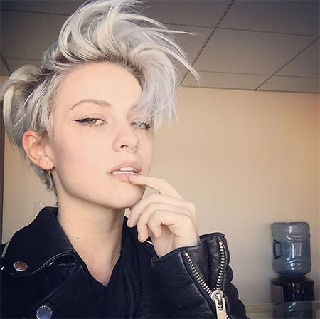 ผมสีเทา ผมสีเทา