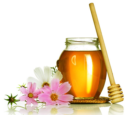 สูตรกำจัดสิวเสี้ยนที่จมูก สูตรกำจัดสิวเสี้ยนที่จมูก