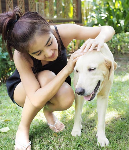 ชุดอยู่บ้านนักร้องลูกทุ่ง ชุดอยู่บ้านนักร้องลูกทุ่ง