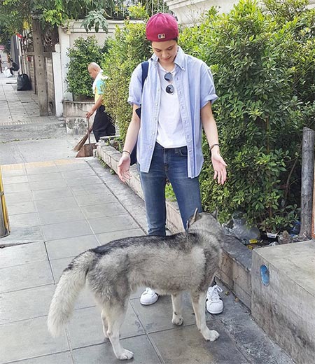 เสื้อเชิ้ตดารา เสื้อเชิ้ตดารา