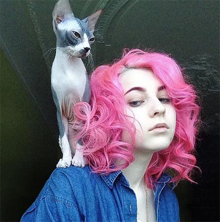 เทรนด์ผม 2016 เทรนด์ผม 2016