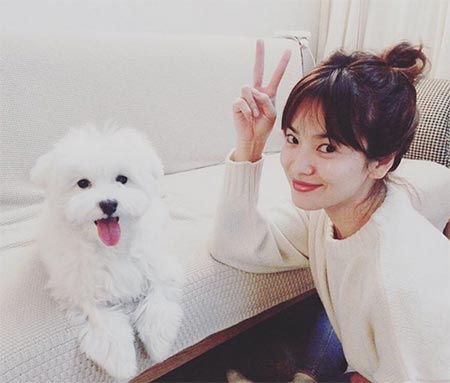 ซองเฮเคียว ก่อนศัลยกรรม ซองเฮเคียว ก่อนศัลยกรรม