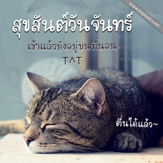 ดูดวงรายวัน ดูดวงรายวัน