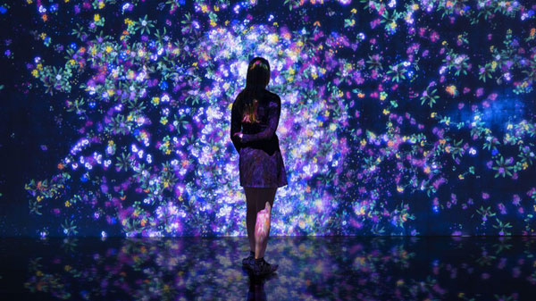 TeamLab Islands TeamLab Islands