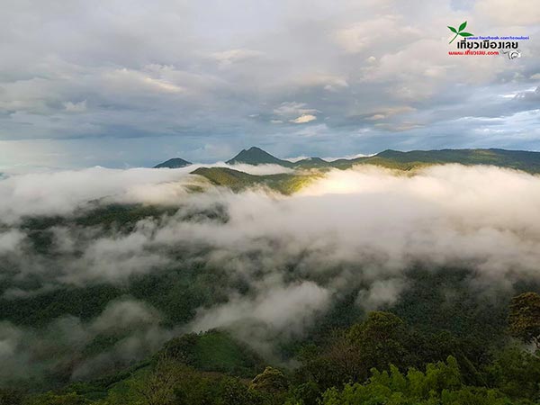 ภูผักหวาน ภูผักหวาน