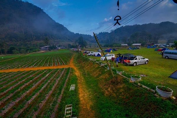 ไร่สตรอว์เบอร์รี ไร่สตรอว์เบอร์รี