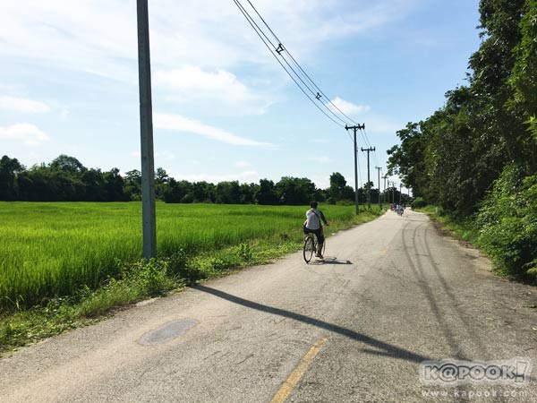 เที่ยวสุโขทัย เที่ยวสุโขทัย