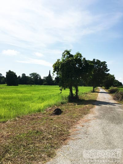 เที่ยวสุโขทัย เที่ยวสุโขทัย