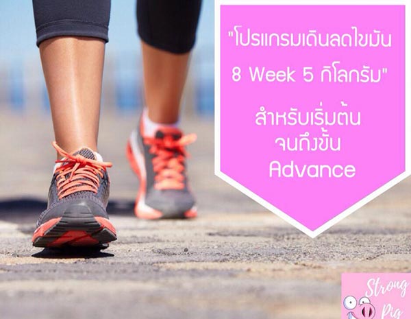 ตารางฝึกออกกำลังกาย ตารางฝึกออกกำลังกาย