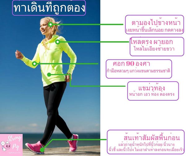 ตารางฝึกออกกำลังกาย ตารางฝึกออกกำลังกาย