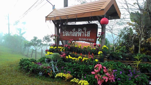 บ่อเกลือฟ้าใส รีสอร์ท บ่อเกลือฟ้าใส รีสอร์ท