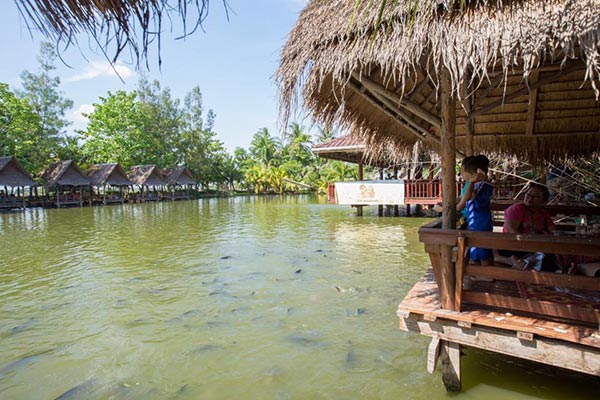 ร้านอาหารพิษณุโลก ร้านอาหารพิษณุโลก