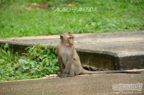 เที่ยวสระแก้ว เที่ยวสระแก้ว
