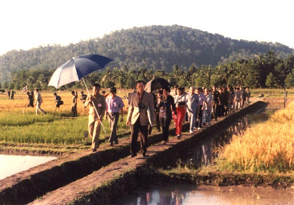 เรื่องเล่าในหลวง เรื่องเล่าในหลวง