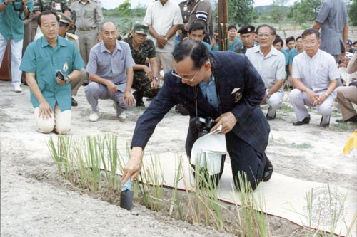 พระราชดำรัสในหลวง พระราชดำรัสในหลวง