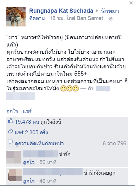 หมาจรจัดแสนรู้ หมาจรจัดแสนรู้