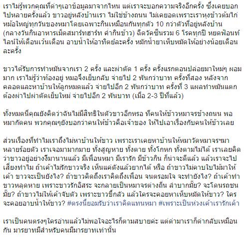 หมาจรจัดแสนรู้ หมาจรจัดแสนรู้