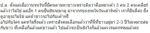หมาจรจัดแสนรู้ หมาจรจัดแสนรู้