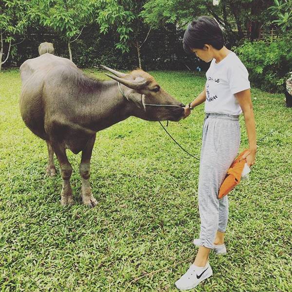 กาละแมร์ เข้ารับเครื่องราชอิสริยาภรณ์ กาละแมร์ เข้ารับเครื่องราชอิสริยาภรณ์