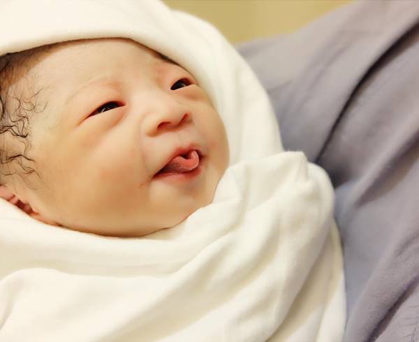 กุ๊บกิ๊บ คลอดลูก กุ๊บกิ๊บ คลอดลูก