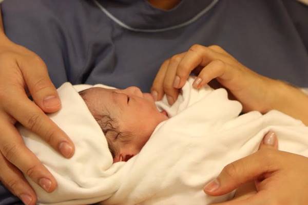 กุ๊บกิ๊บ คลอดลูก กุ๊บกิ๊บ คลอดลูก