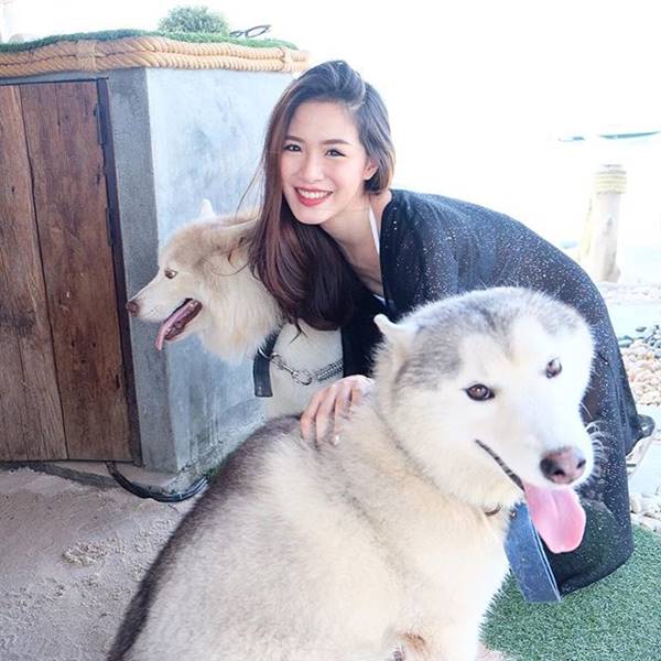 บุ๊ค โอลีฟส์ บุ๊ค โอลีฟส์